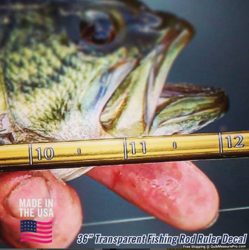 Promo Fish Ruler Retailer Starter Bundle - Quik Measure Pro Fishing Rod Rulers & Boat ...